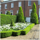 Wellington Garden 3